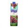 Fruitien Red Grape Juice 1 lt