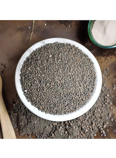 Pack of 250g Mycorrhiza Biological Soil Conditioner - Enhances Root System &amp; Plant Growth