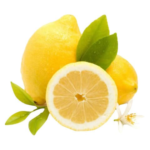 Lemon Import Bag