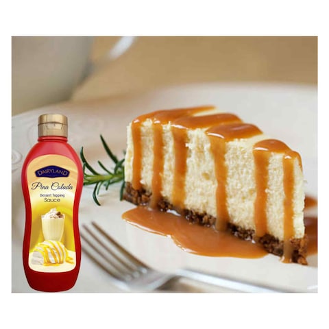 Dairyland Pina Colada Dessert Topping Sauce 650g