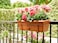 Plastic Forte Flower Planter With Hanging Rail Stand