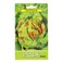 Pride Seeds Lettuce