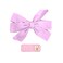 Aiwanto 2Pcs Hair Clips Hair Accessories Hair Fashion Clips for Girl's Women