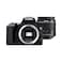 Canon EOS 250D SLR Camera with EFS 18-55mm DC III Lens Black