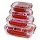Dunya 30848 Master Rectangular Food Storage Containers 4 Pieces Red/Clear