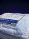 BLUEBERRY PREMIUM QUALITY STRIPED PILLOW - 1 PIECE