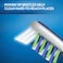 Oral-B Pro-Expert Bacteria Blast Manual Toothbrush Medium