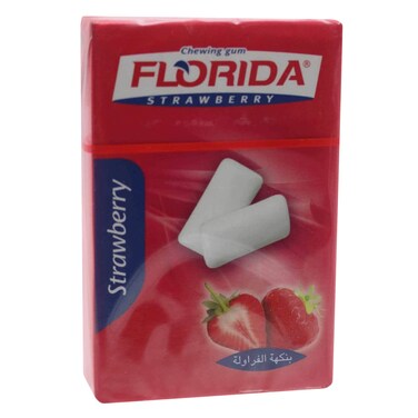 Florida Strawberry Chewing Gum 12.5G