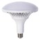 ICC Bulb AC175-265V 30W
