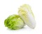 Cabbage Chinese