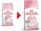 Royal Canin FHN Kitten 10kg Feline Health Nutrition Dry Cat Food