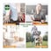 Dettol Nourish Anti-Bacterial Hand - 200 ml - 2+1 Free