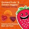 Nature'S Way Children'S Alive Gummies Multi-Vitamin (Natural Orange &amp; Berry)