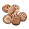 Mushroom Shiitake Pack
