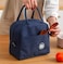Insulated Lunch Bags for Women and Men, Leak-Proof Water-Resistant bag container for Adults, kids, Light-weight Portable lunch box for Office work, Outdoor, Picnic, School etc.(Red)