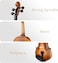Mike Music Violin Solid Wood with Case, Bow, and Rosin (1/4 - Size) (1/4)