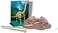 4M Kidz Labs / Brachiosaurus Skeleton Excavation