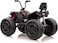 Lovely Baby Powered Riding Kids Quad Bike LB 808E - Black