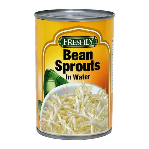 Buy Freshly Bean Sprout In Water 425g in Saudi Arabia