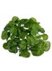 12-Piece Artificial Hanging Ivy Leaves Green