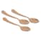 KITCHEN MASTER COPPER DESSERT SPOON, KM0110, 3PC PACK, MAGNUM