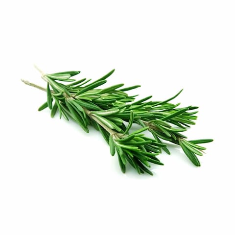 Rosemary Balady - 100 g