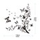 StickieArt - Butterfly Contrast Wall Decal - Large - 60 x 90 cm - STA-181