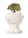 Generic Ceramic Succulent White Plant Pot Creative Human Shaped Small Cactus Pots Flower Pots Mini Plant Planters For Desktop Usage Home Decoration, Man 2