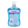 Astonish Yourself Clean And Protect Anti Bacterial Hand Wash 650ml