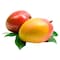 Mango Kent