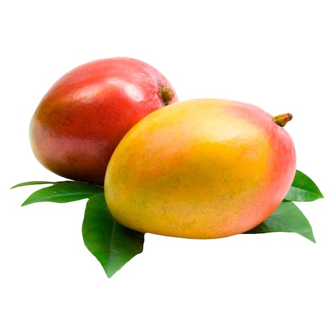 Mango Kent