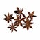 Abu Auf Star Anise/kg