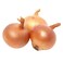 Onion Import