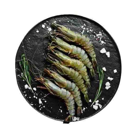 Fresh Tiger Shrimps U05