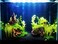 Vsell24 Super Naturals Black Sand Aquarium Substrate For Fish Tank Black Plant Soil For Pot Decorations 2-4mm 2Kg