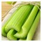 Celery Stick 400G