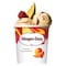 Haagen Dazs Mango Raspberry Ice Cream 460ml