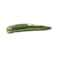 Cucumber Long Import 1 Piece