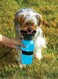 500Ml Outdoor Water Bottle for Dogs And Cats Pets Portable Aqua Dog Outdoor Walk Travel Squeeze Water Bottle Bowl Auto Dog Mugx2 pcs