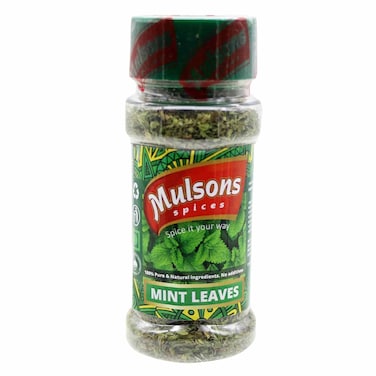 Mulsons Spices Dry Mint Leaves 20g