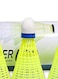 Generic Pack Of 6 Training Badminton Shuttlecock