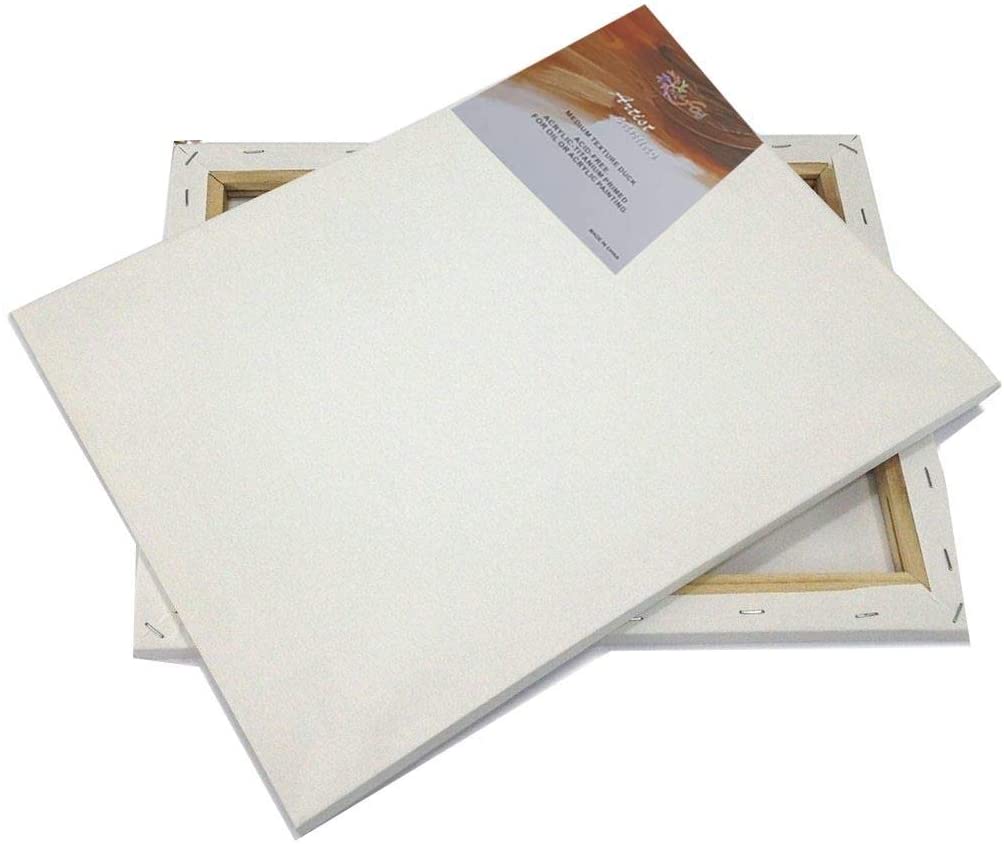 Generic Canvas Board 280 GSM 20 X 30