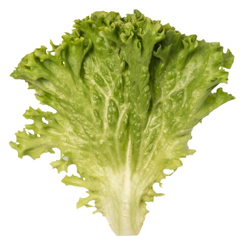 Lettuce Lollo Blonde Green