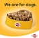 Chicken Chunks in Gravy, Wet Dog Food, Can, 400 gm