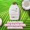 OGX Shampoo Nourishing+ Coconut Milk New Gentle and PH Balanced Formula 385ml