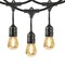 Feit Electric 48ft (14.6 m) LED Indoor/Outdoor String Lights Set- Includes 24 bulbs (plus 2 spares)
