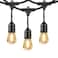 Feit Electric 48ft (14.6 m) LED Indoor/Outdoor String Lights Set- Includes 24 bulbs (plus 2 spares)