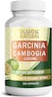 Oladole Natural Pure Garcinia Cambogia Extract 1000mg 120 Capsules Easy-To-Swallow Veggie