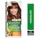 Garnier Color Naturals Cr&egrave;me Nourishing Permanent Hair Color, 6.34, Chocolate
