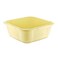 Polytime Coleman Basin Squared TPT163 15L